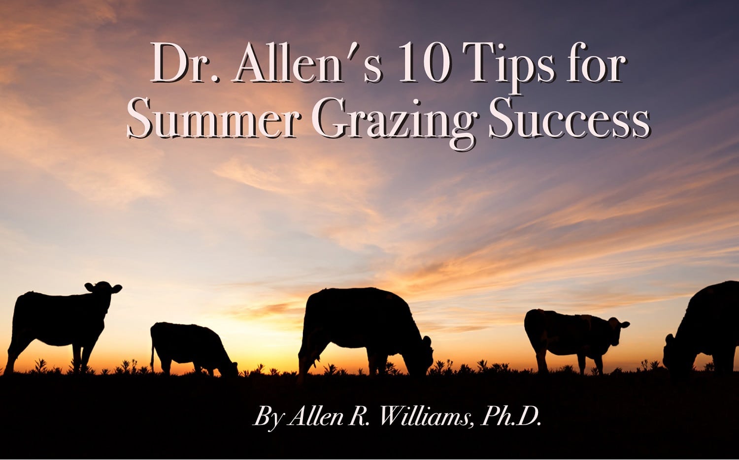 Dr. Allen’s 10 Tips for Summer Grazing Success