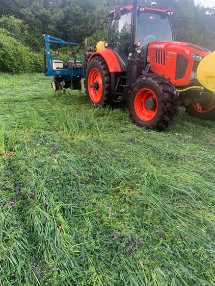 Planting into Cover Crop