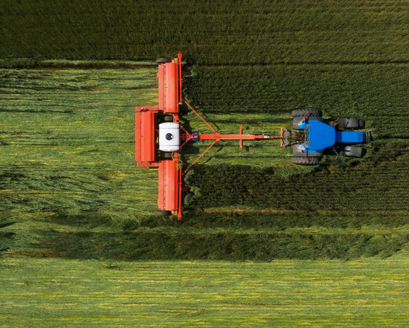 Rolling Cover Crops