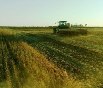 drilling covers after harvest