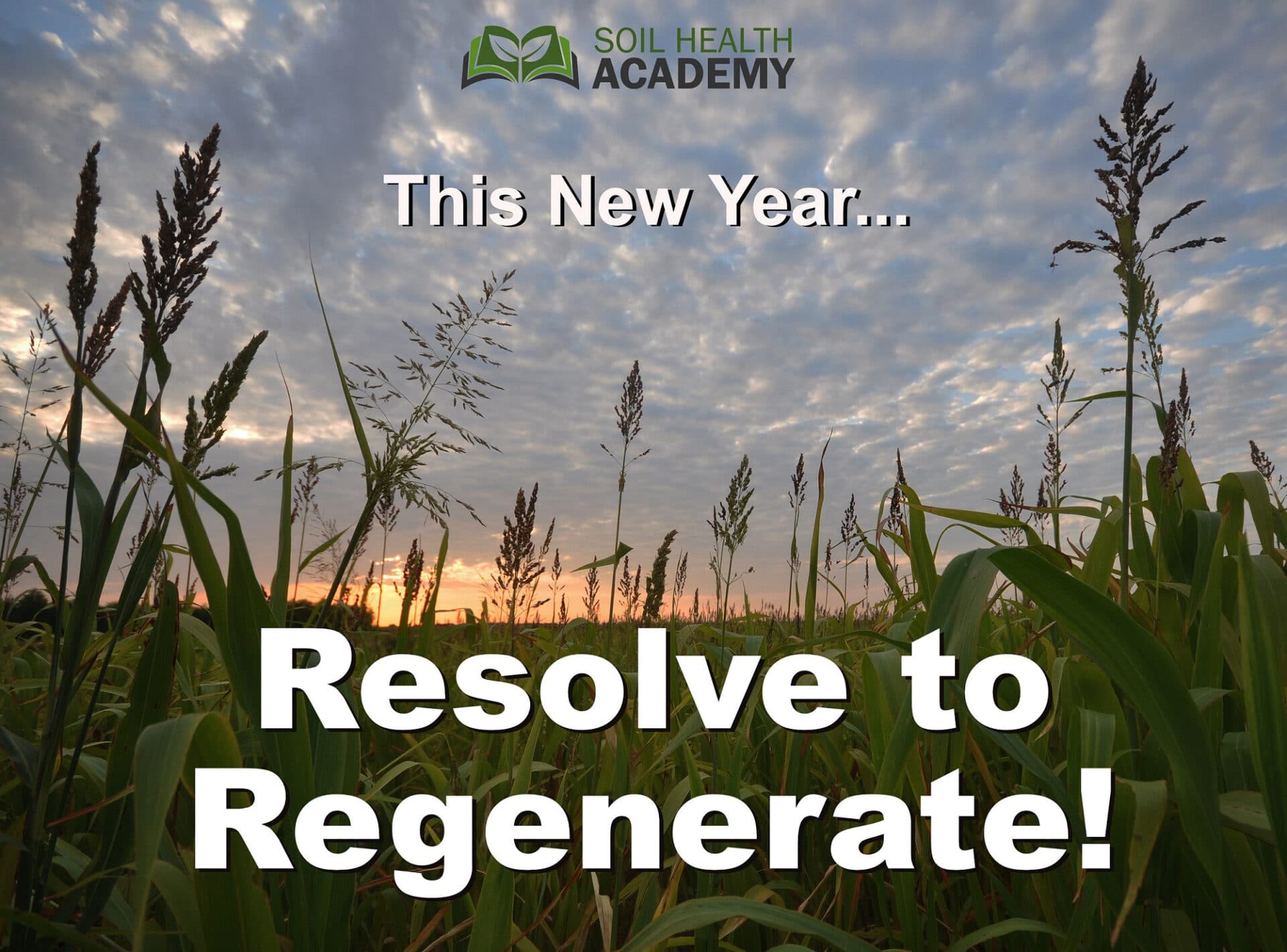 Resolve to Regenerate