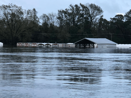 Picture 4: Flood waters rising on Adam's Farm