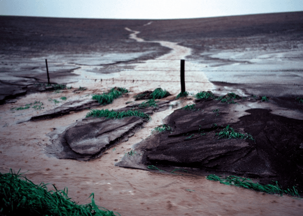 Flooded Field in Upper Midwest