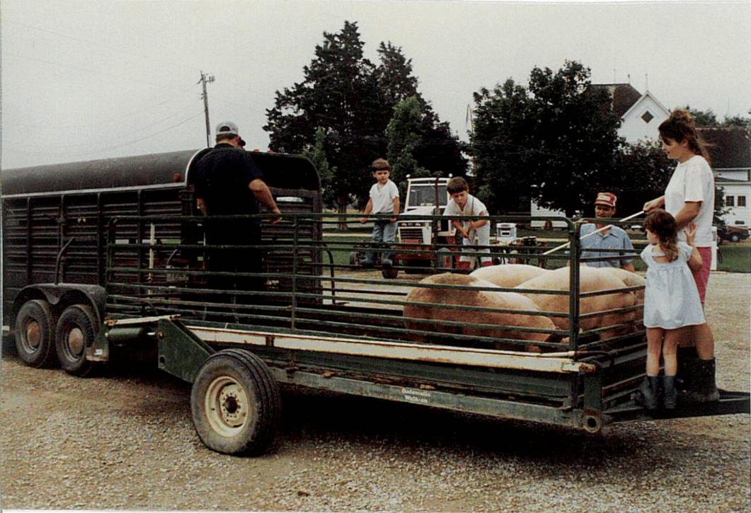 Pig Farming