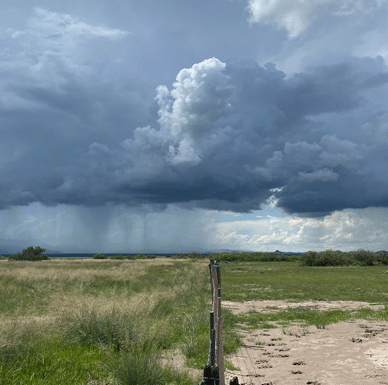 Picture 3.  Rain falling Over the Parritas Ranch, Chihuahua